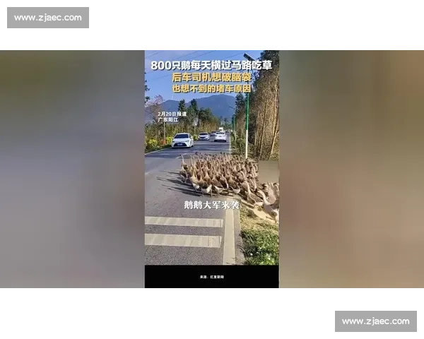 直播封神瞬间:那脚射门,想破头也猜不到 直播封神瞬间:那脚射门,想破头也猜不到