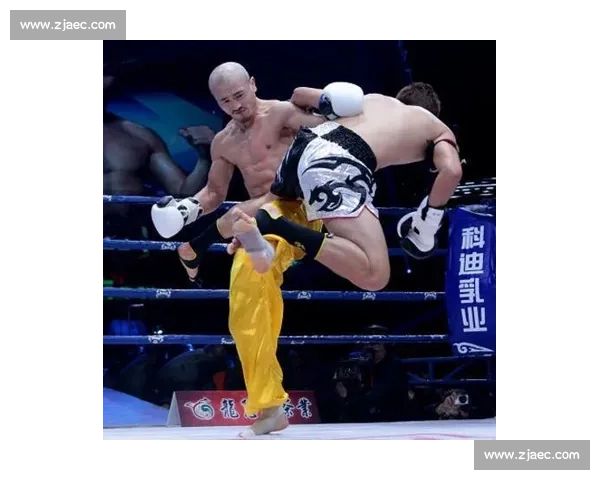 以西提猜对决一龙巅峰之战谁才是真正格斗王者擂台历史性碰撞全面解析